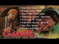 Gadar Ek prem katha Jukebox | Sunny Deol, Ameesha Patel, Amrish puri  | Hindi Song Mp3 Song