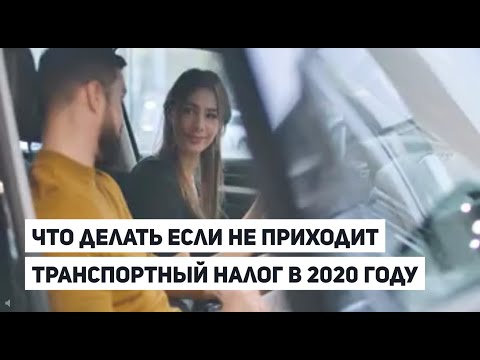 Что делать если не приходит транспортный налог в 2020 году