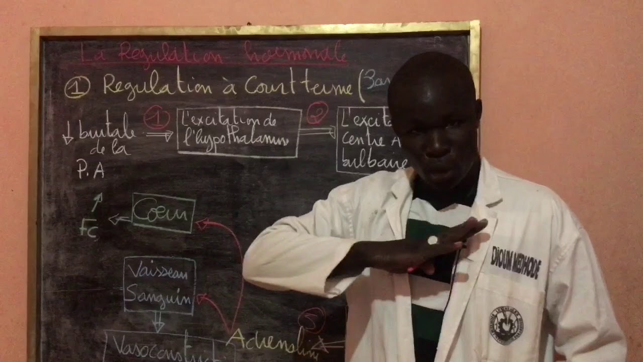 RÉGULATION DE LA PRESSION ARTÉRIELLE PAR VOIE HORMONALE