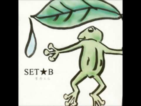 SET★B　人間飼育
