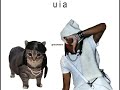 Oiia Cat | Playboi - Rather LIE ft. The Weeknd