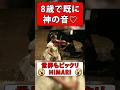 吉村妃鞠｜神が宿るこの音に感動♡｜海外の反応からリアルな英語を学ぶ #shorts #himari #violin