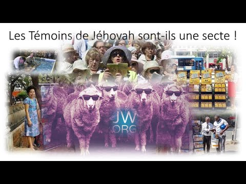 Vidéo: Les Témoins De Jéhovah Sont-ils Une Secte Ou Une Religion ?