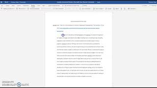 Sample Peer Review Comments in Word Document