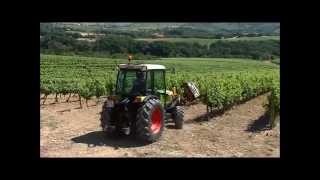 Pellenc Leaf Remover