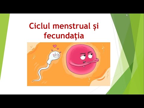 Video: Morfologia și Ultrastructurarea Ciclului Ovarian Al Adulților în Mithracidae (Crustacea, Decapoda, Brachyura, Majoidea)