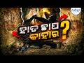 ଗୁମ୍ଫାରେ ୬୭,୮୦୦ ବର୍ଷ ପୁରୁଣା ଚିତ୍ରକଳା | Cave Art | Oldest Art | Indonesia | Symbolic Thought