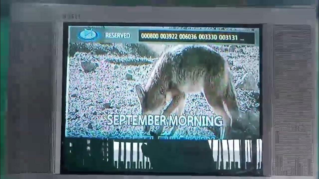 Megapro Plus Megasound MP7000 HD Hybrid / MS Array+ Videoke Score 90 ...