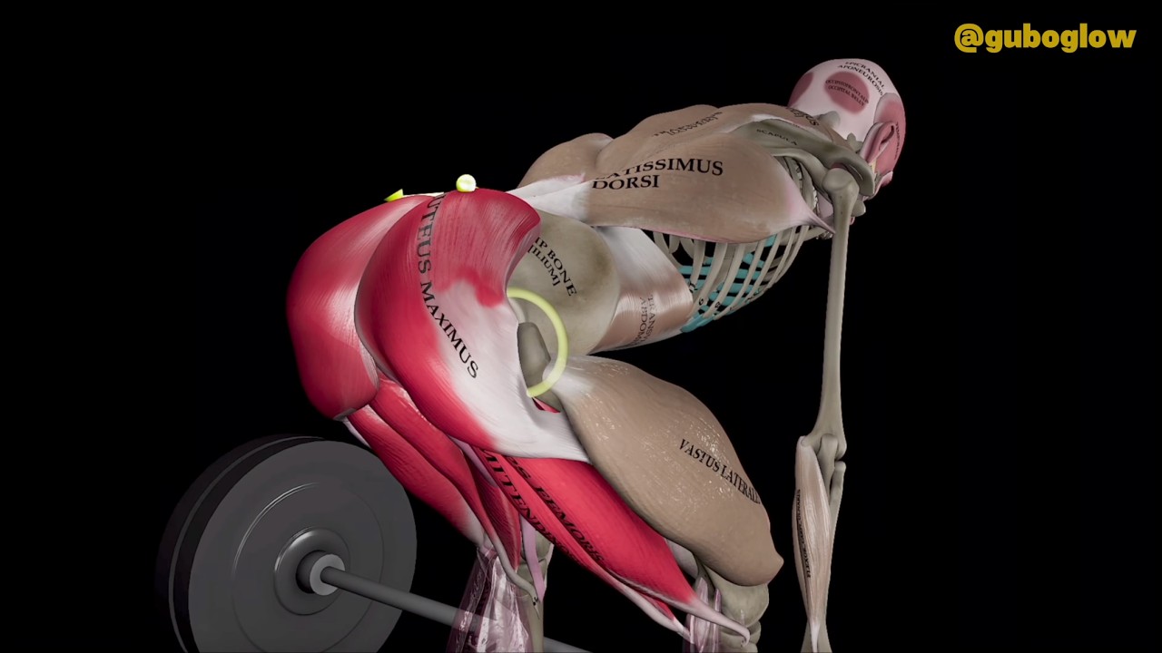 ГЛАВНЫЕ ОШИБКИ В РУМЫНСКОЙ ТЯГЕ