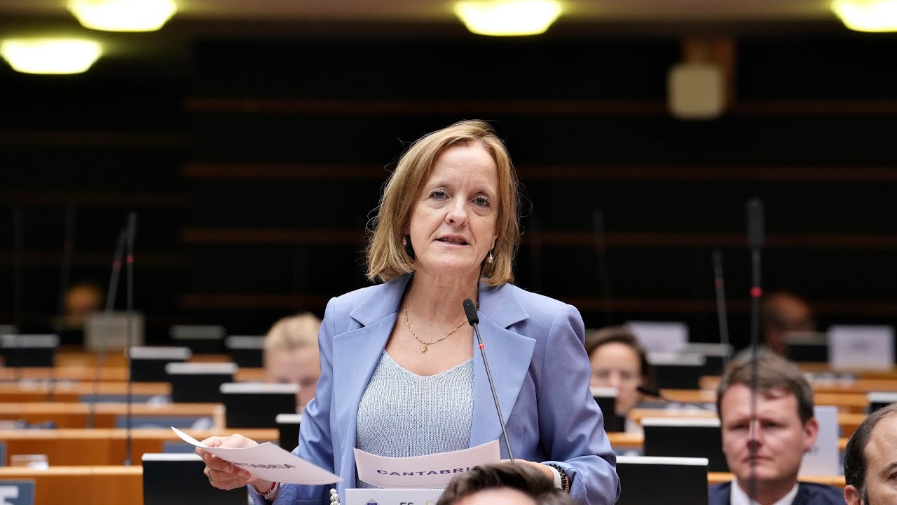Cantabria reclama reforzar la protección civil en la UE y proteger el comercio de proximidad