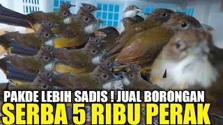 Download Lagu UPDATE HARGA CUCAK JENGGOT JAWA HARI INI DIKIOS PASAR BURUNG PRAMUKA TERNYATA CUMA SEGINI HARGANYA MP3 Download Lagu UPDATE HARGA CUCAK JENGGOT JAWA HARI INI DIKIOS PASAR BURUNG PRAMUKA TERNYATA CUMA SEGINI HARGANYA MP3