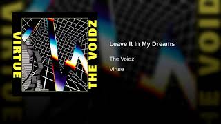 Leave It In My Dreams- The Voidz (Lyrics on Screen + HD Audio)