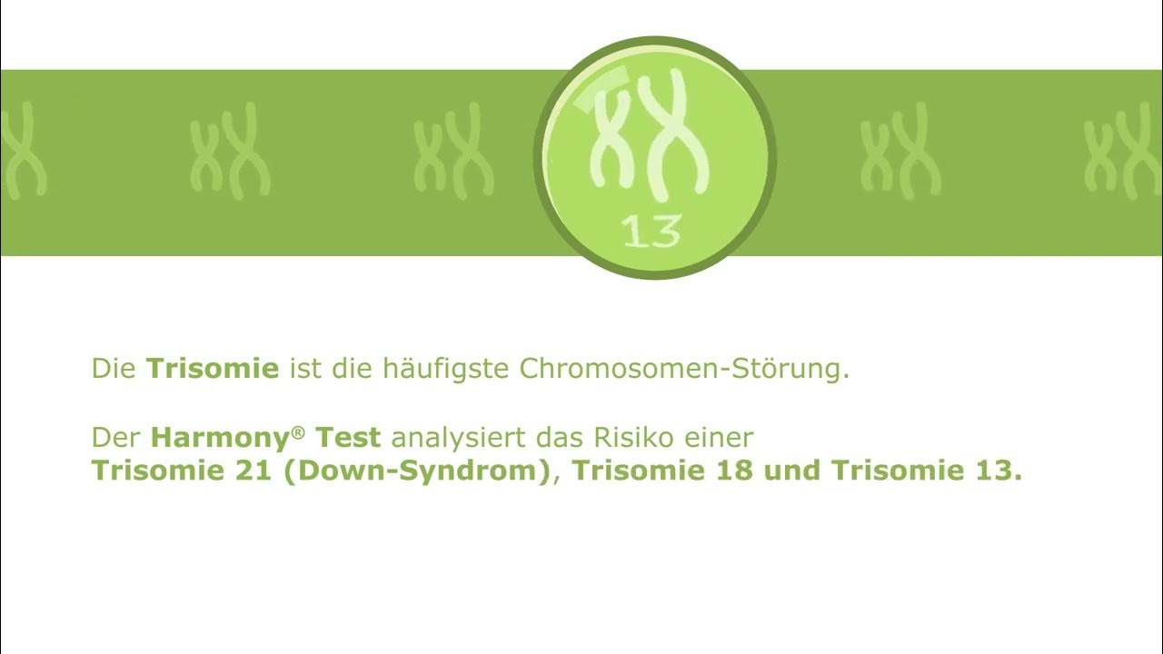Der Harmony® Prenatal Test YouTube