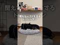ママの声しか耳に入らないドーベルマン