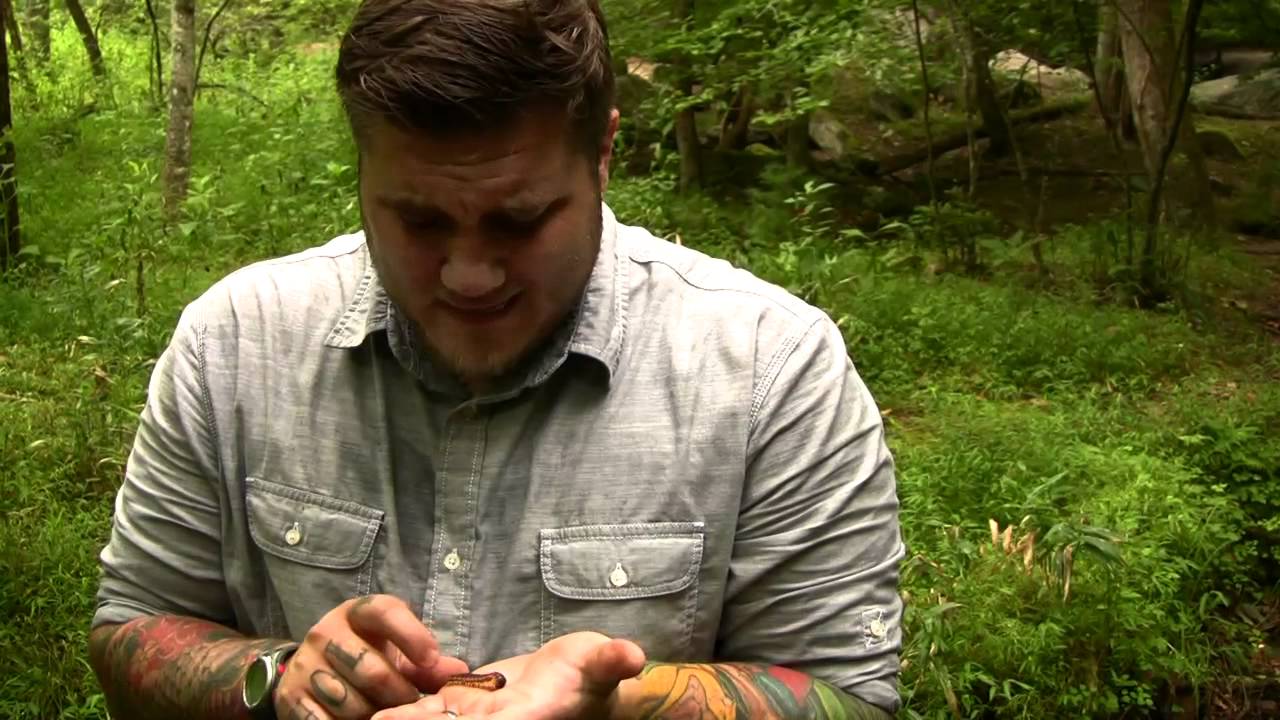 youth ministry games Millipede and Centipede