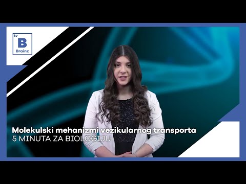 Video: Izvanstanična RNA: Mehanizmi Njezinog Transporta U Ciljane Stanice