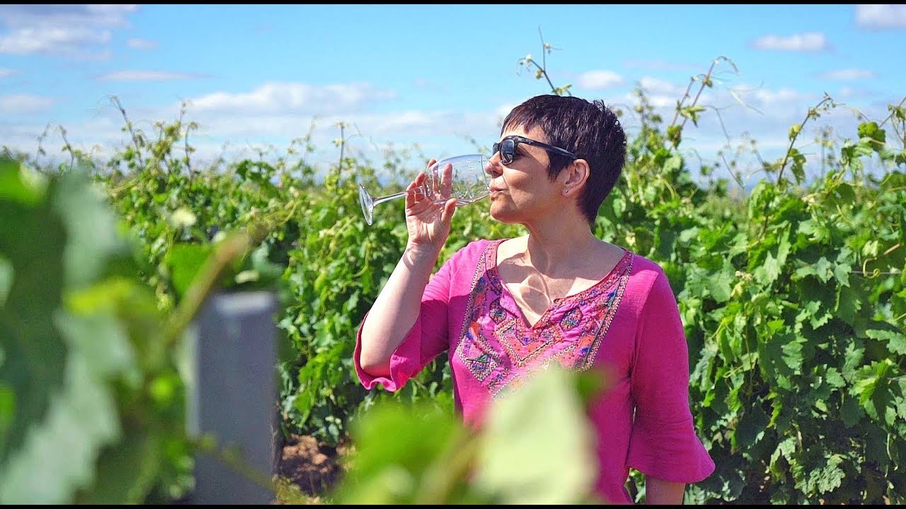 La Rioja, Viñedos y bodegas en familia / Ruta por Aldeanueva de Ebro