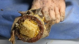 ASMR Toenails Cutting