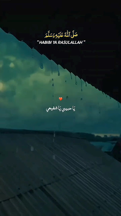 Hababi Ya Muhammad Status #meharzain  #trending #lofi #viral #slowedreverb