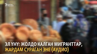 Эл үнү: Жолдо калган мигранттар, жардам сураган эне (аудио)