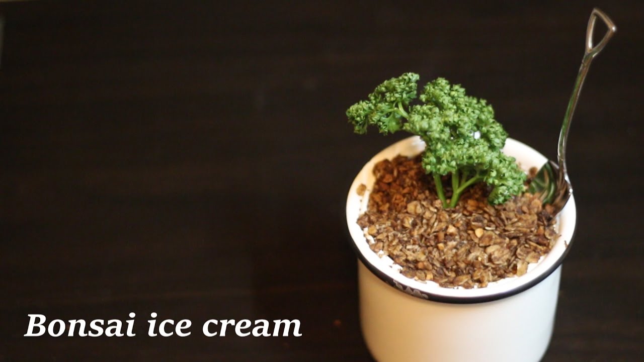 【盆栽】アイスクリーム How to make Bonsai ice cream YouTube