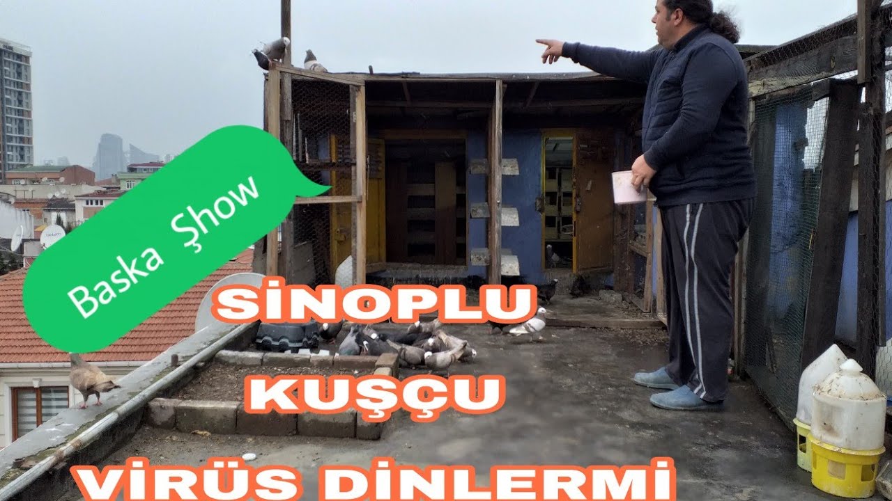 BASKA KUŞU YAGMUR KAR ÇAMUR DİNLEMEZ