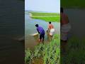 Wow Amazing Fishing Videos #fishing
