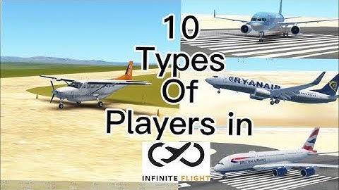 10 types of Infinite Flight players ￼