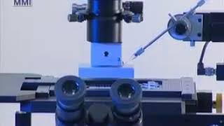 Single cell sorting  MMI CellEctor Plus