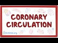 Coronary circulation
