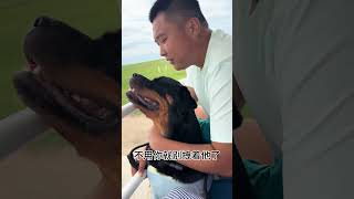 这趟内蒙古来的，我纯属多余了…… #拉登与阿亮的日常生活