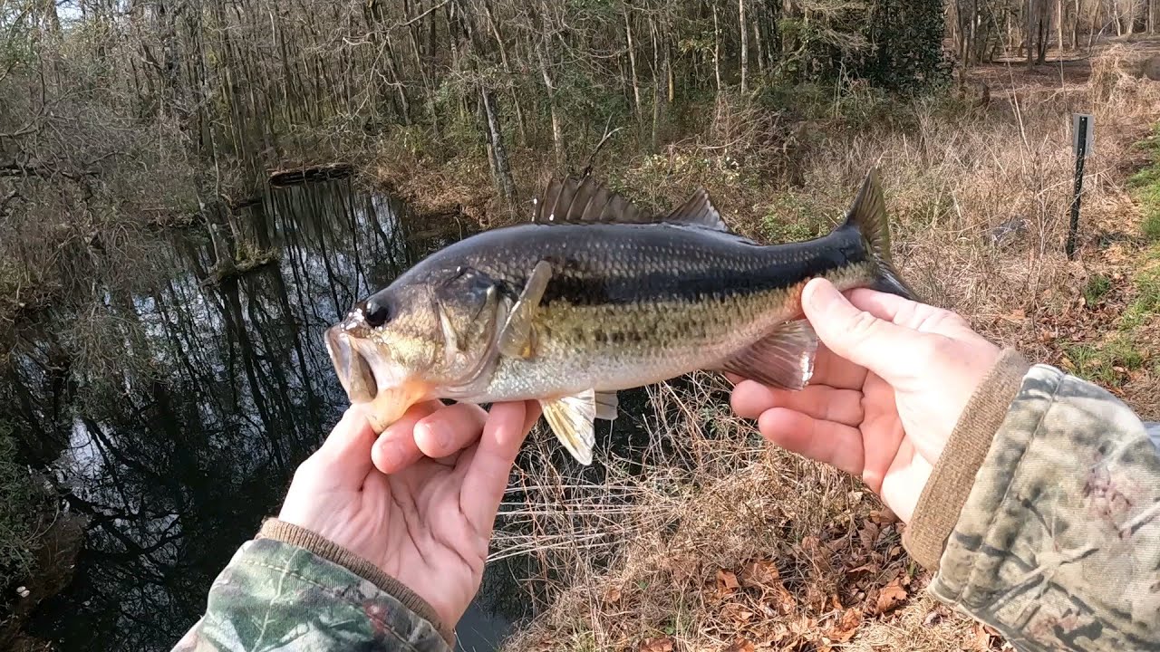 Ещё один окунь из холодной воды!