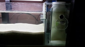DIY Deep Sand Bed Filter on 4ft Marine Aquarium
