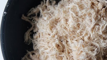 Pork Floss | Cách làm chà bông (ruốc bông) ngon, tơi xốp và không mất chất dinh dưỡng.