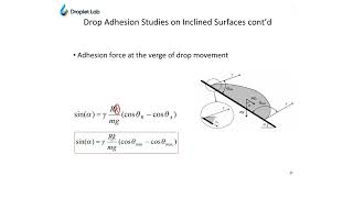 Simplifying Contact Line Shapes: Where the Fudge Factor Comes From | Prof. Alidad Amirfazli