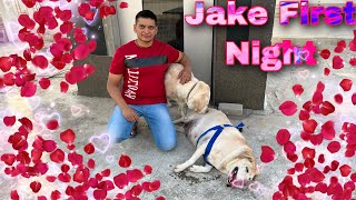 Jake First Night