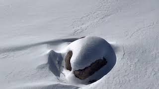 Wondrous Winter