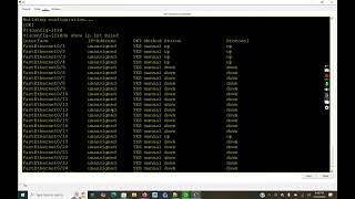 Switch security concept DHCP Snooping.