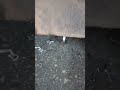 asfalt ağladı bee :))