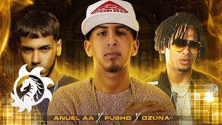 Ozuna ft. Anuel AA, Pusho - Si Tu Quieres (Audio)