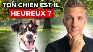 Ton Chien estil HEUREUX ? Les 10 Signes qui ne TROMPENT pas !