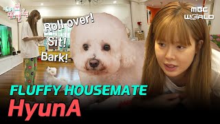 [SUB] HyunA and the master of tricks, genius dog Sogeum's peaceful day #HYUNA