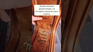 Единственное фортепиано, на котором каждый умеет играть. The mono tone piano