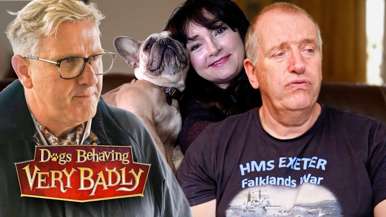 The Heartbreaking Reason This Navy Veteran Won't Give Up On His French Bulldogs