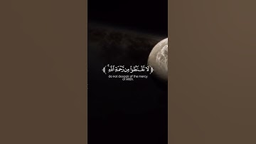 Surah Az-Zumar [39:53] سورة الزمر #quran #القران #المصحف