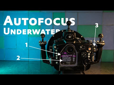 Autofocus for Underwater