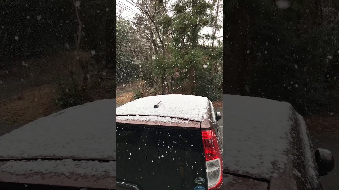 Japan’s snow in February ️ ️