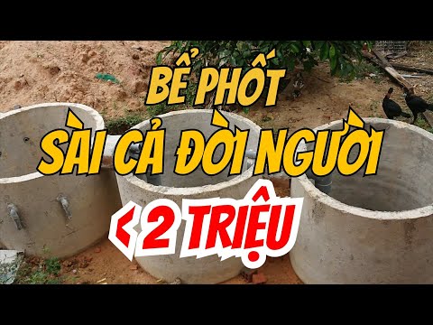 Video: Làm cách nào để hạ thấp nước trong bể phốt của tôi?