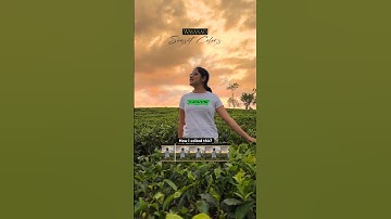 VN Editing Tutorial, Check description for more details #shorts #vntutorial #editingtutorial