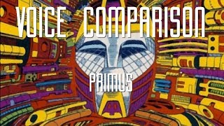 Voice Comparison Primus Transformers